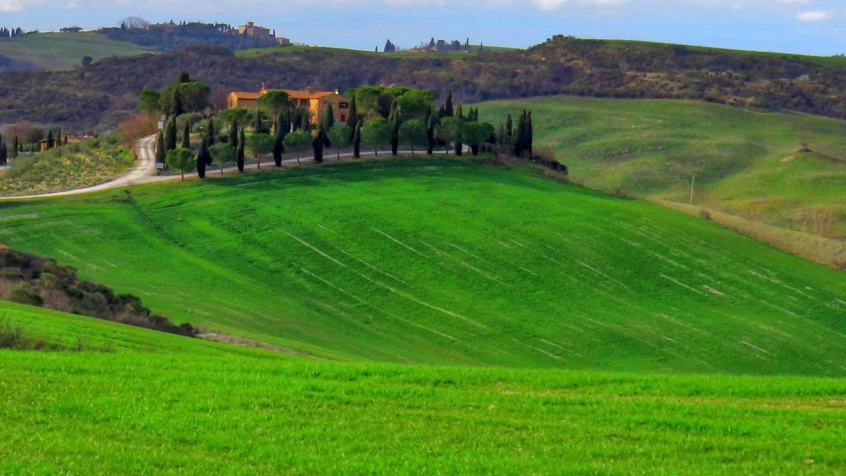 Rolling hills of Val d'Orcia in Tuscany