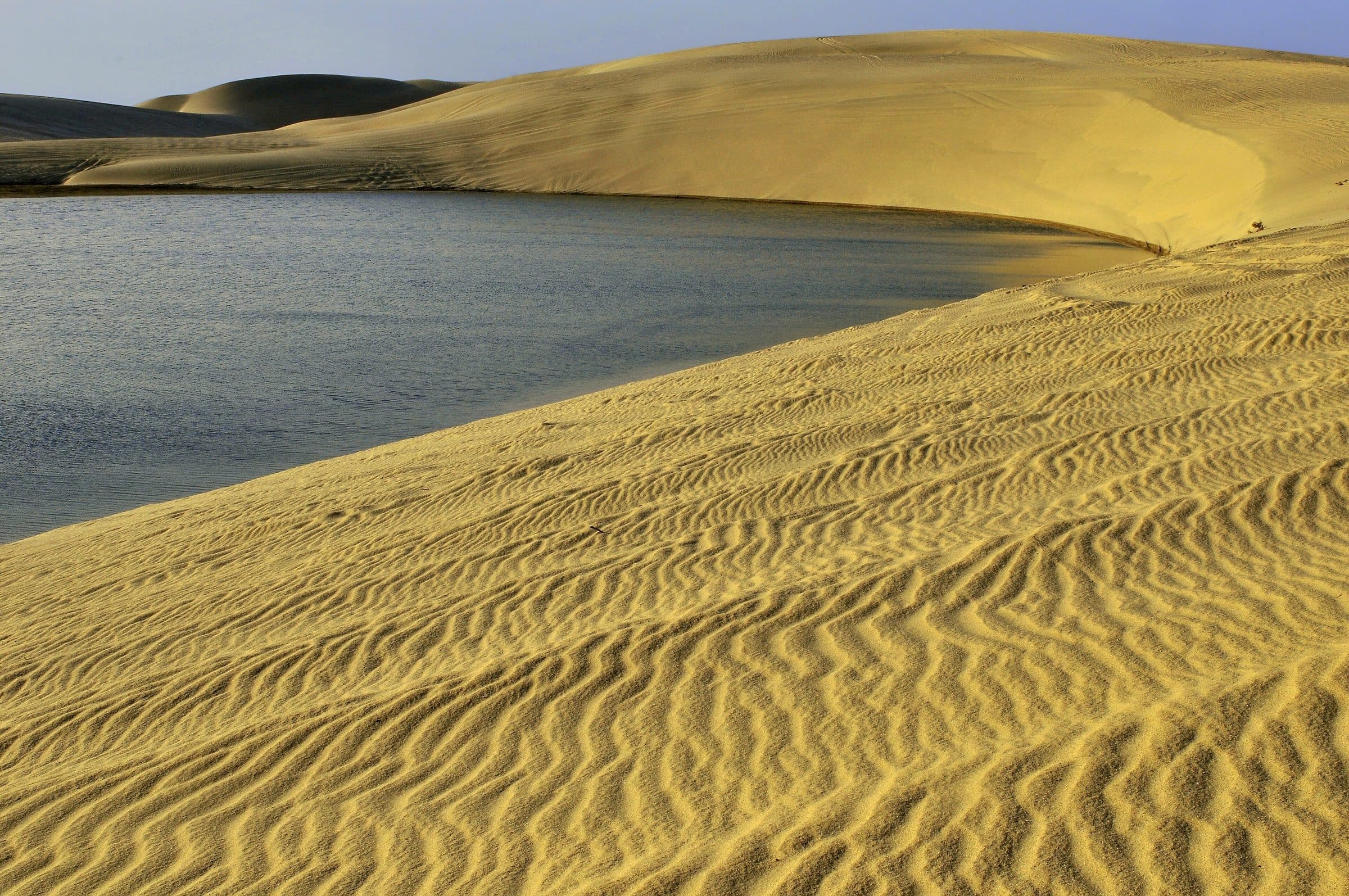 Dunes meeting the Inland Sea at Khor Al Adaid